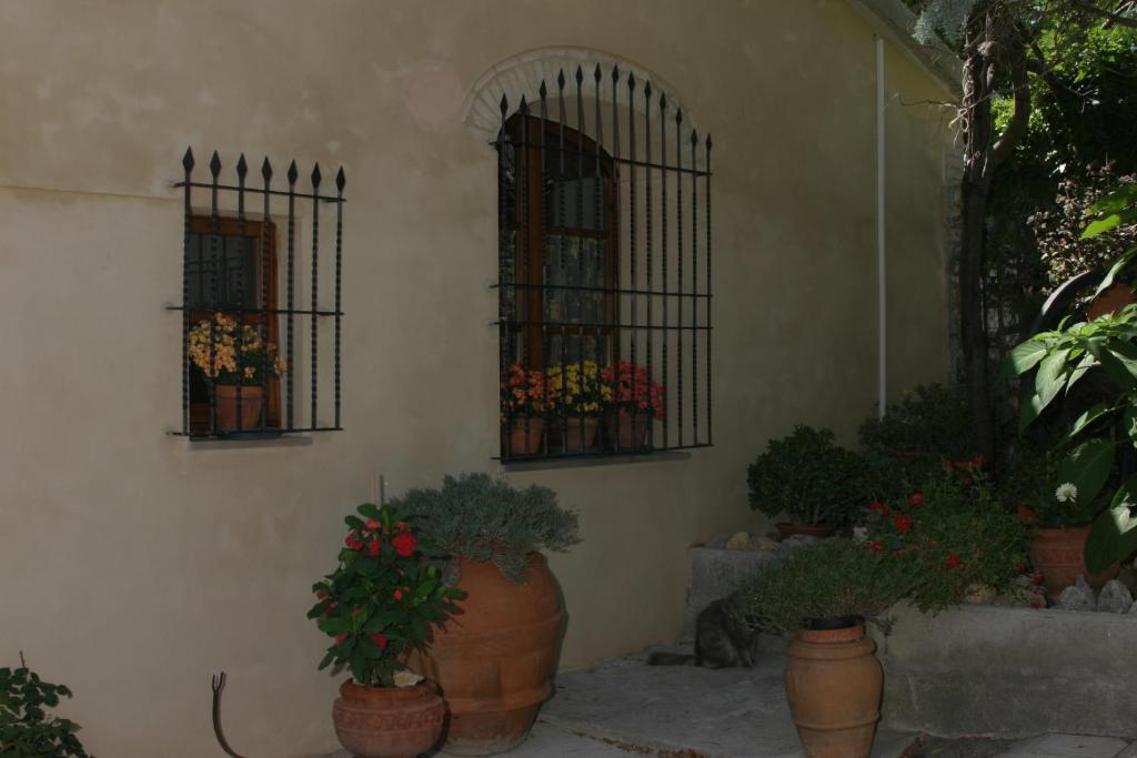 Agriturismo Il Colto ซานจีมิญญาโน ภายนอก รูปภาพ