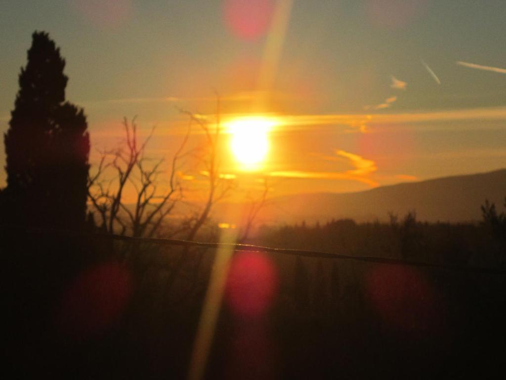 Agriturismo Il Colto ซานจีมิญญาโน ภายนอก รูปภาพ