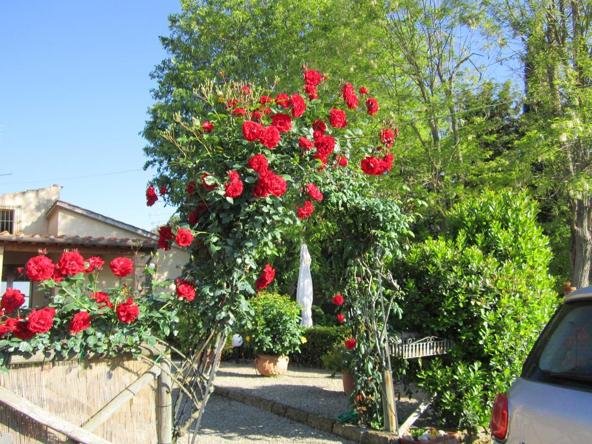Agriturismo Il Colto ซานจีมิญญาโน ภายนอก รูปภาพ
