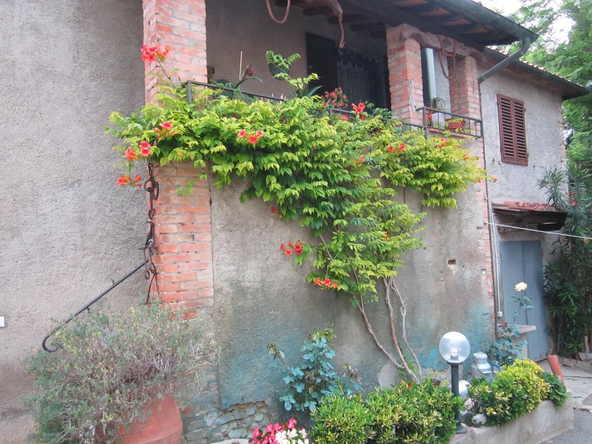 Agriturismo Il Colto ซานจีมิญญาโน ภายนอก รูปภาพ